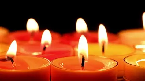 Makenzie Bohn Fargo, North Dakota Obituary – A Life Remembered, Tribute, and Legacy